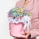 Шляпная коробка с цветами «Разноцветные гипсофилы в коробке, 7 шт»