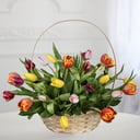 Корзина тюльпанов