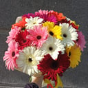 Букет «Гербера микс»
