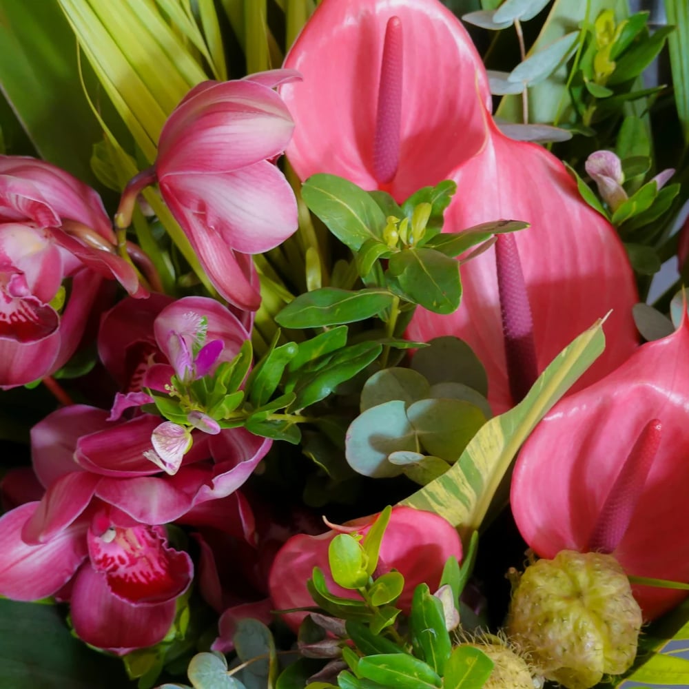 Exotische Blumen wie Strelitzien, Orchideen und tropische Blüten