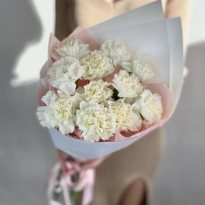 Букет из 11 белых диантусов