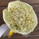 Букет ромашек из хризантем