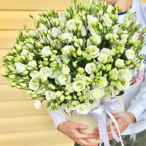 Шляпная коробка с цветами «Композиция из 33 эустом»