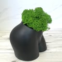 Кашпо из гипса "black"