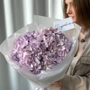 Букет лавандовых гортензий