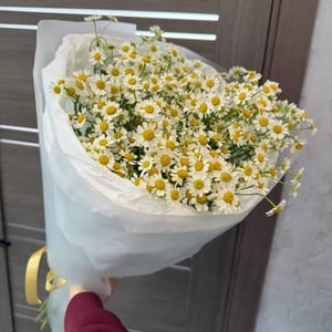 Букет ромашки М