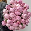 Большой букет из 29 пионов розовых