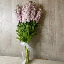 Букет «Маттиола розовая»