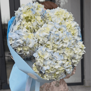 Букет голубых гортензий