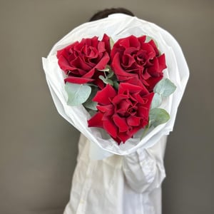 Букет из 3 красных французских роз