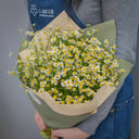 Букет из 19 ромашек кустовых