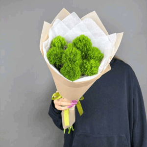 Монобукет из зелёных диантусов в классической упаковке из гвоздик