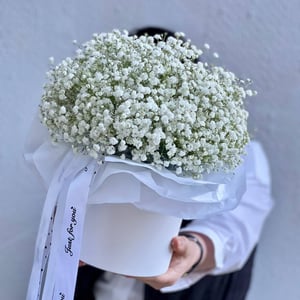 Белая гипсофила в шляпной коробке