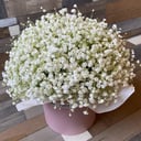 Шляпная коробка с цветами «Прекрасный день!» из гипсофил