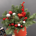 Шляпная коробка с цветами «Композиция с Нобилисом (ель голубая)»