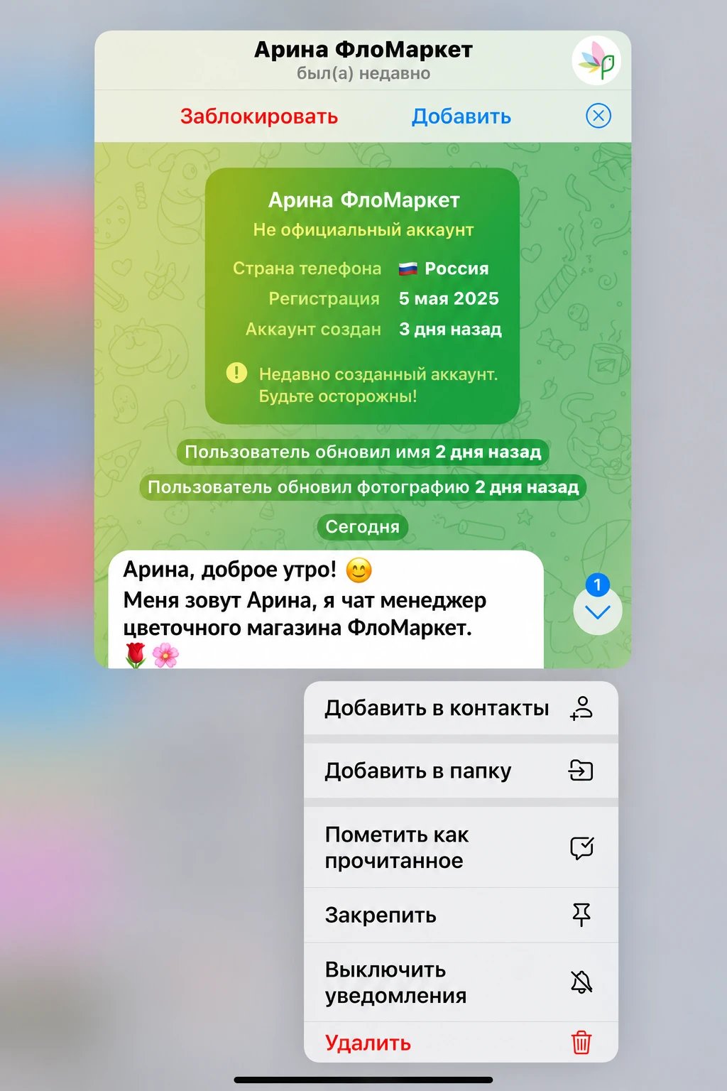 Пример мошеннической переписки 2