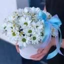 Шляпная коробка с цветами «Ромаш» из хризантем