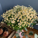 Букет «Лето» из ромашек