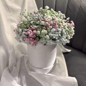 Коробка с цветами «Радужное облако» из гипсофил