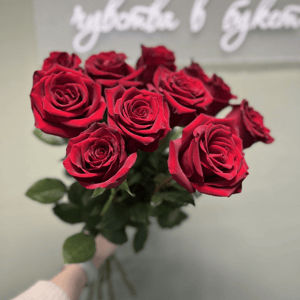 Букет из 11 красных роз Эквадор под ленту