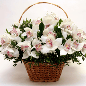 Корзина с цветами «Чары орхидеи»