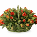 101 красный тюльпан в корзине