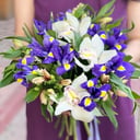 Букет «Мудрый совет» из ирисов и альстромерий