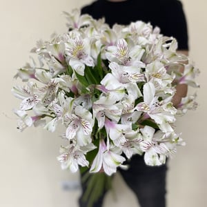 Букет «Душечка» из альстромерий