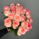 Букет «25 роз джумилия»