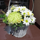 Микс хризантем в корзинке