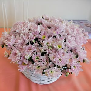 Кустовая хризантема в плетеной корзинке