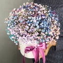 Гипсофила в шляпной коробке