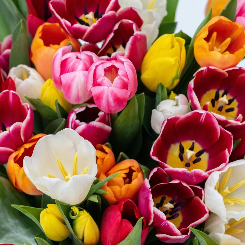 Ramo de tulipanes de colores