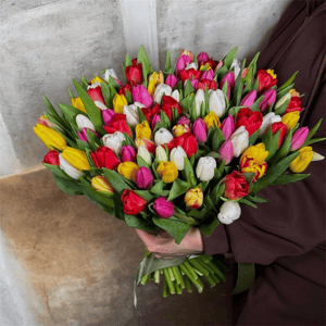 Букет «101 тюльпан микс»