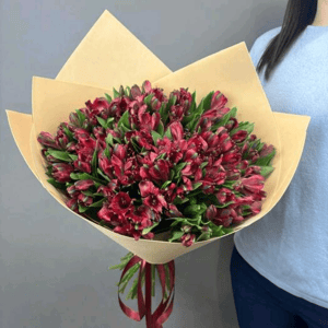 Букет из красной альстромерии