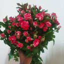 Букет из 9 кустовых роз