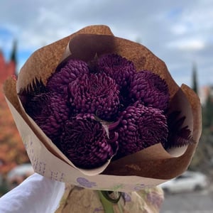 Букет из 7 хризантем
