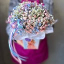 Радужная гипсофила в коробке