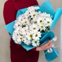 Букет из 7 ромашковых хризантем