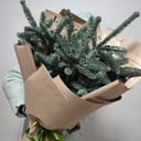 Букет из нобилиса