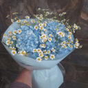 Букет «Солнечный привет» из ромашек и гортензий