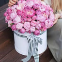 Композиция «Розовый бум» из пионов