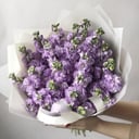 Букет «Ароматная маттиола» из экзотических цветов