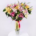 Sun halo: 21 colorful orchids
