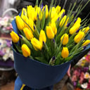 Весеннее солнце