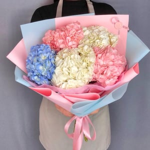 Букет 5 гортензий микс