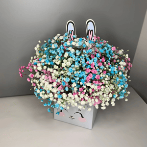 Радужная Гипсофила в коробке Зайка