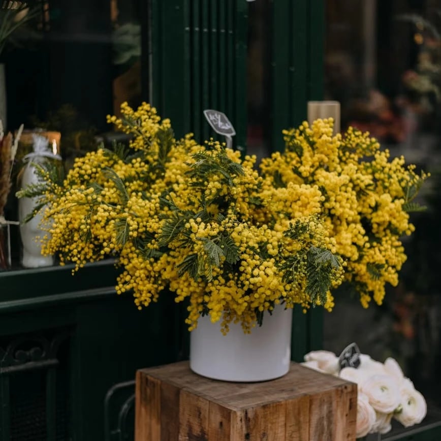Entretien du bouquet à Paris
