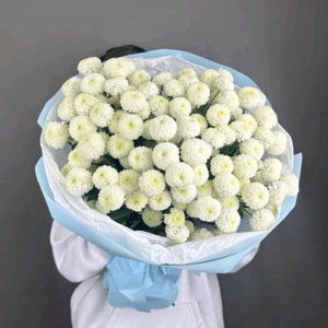 Букет из Ньютона 15 в голубой упаковке из хризантем