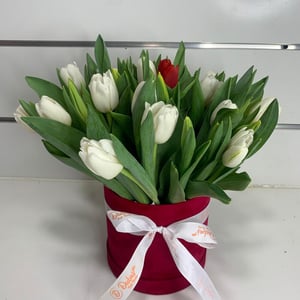 Белые тюльпаны в коробке